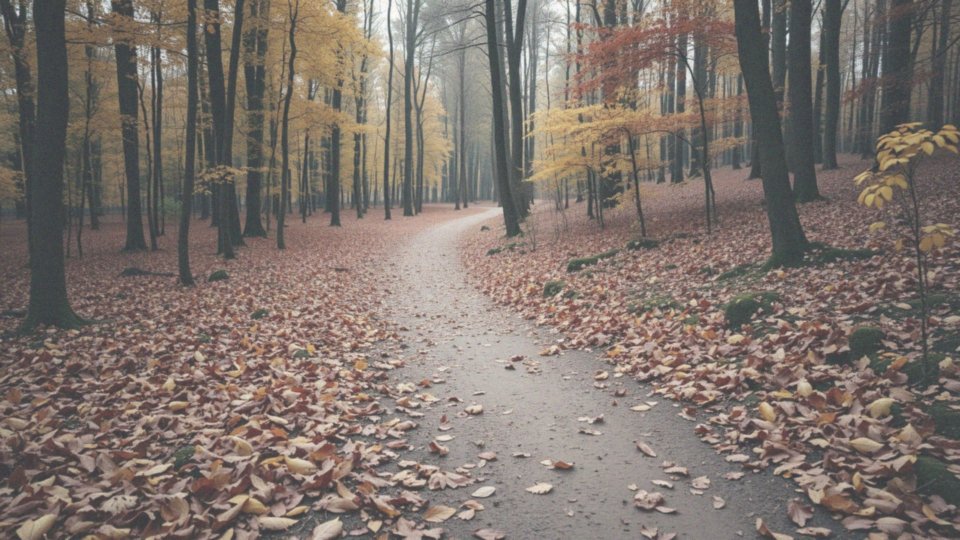 Dlaczego odpowiednie przygotowanie jest ważne dla biegaczy jesienią?