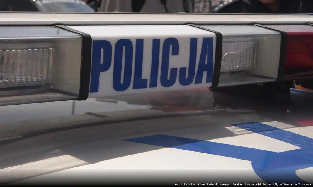 Tymczasowy areszt dla sprawcy przemocy domowej w Bielsku-Białej