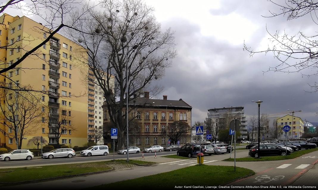 Kampania Bezpieczeństwa Bezpieczne Lato w Bielsku-Białej: Przeciwdziałanie Nieodpowiedzialnemu Piciu i Pływaniu